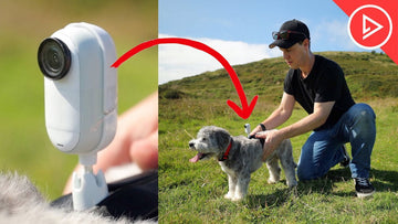Capturing Your Pup’s Best Moments with the Insta360 GO 3S 🐶✨