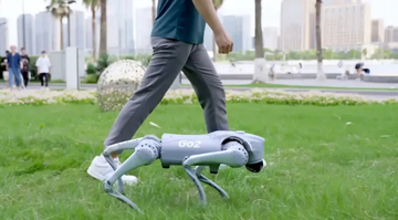 The Rise of the Robot Dog: A Detailed Look at the Unitree Go2