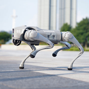 From Novice to Ninja: A Beginner’s Guide to Programming the Unitree Go2