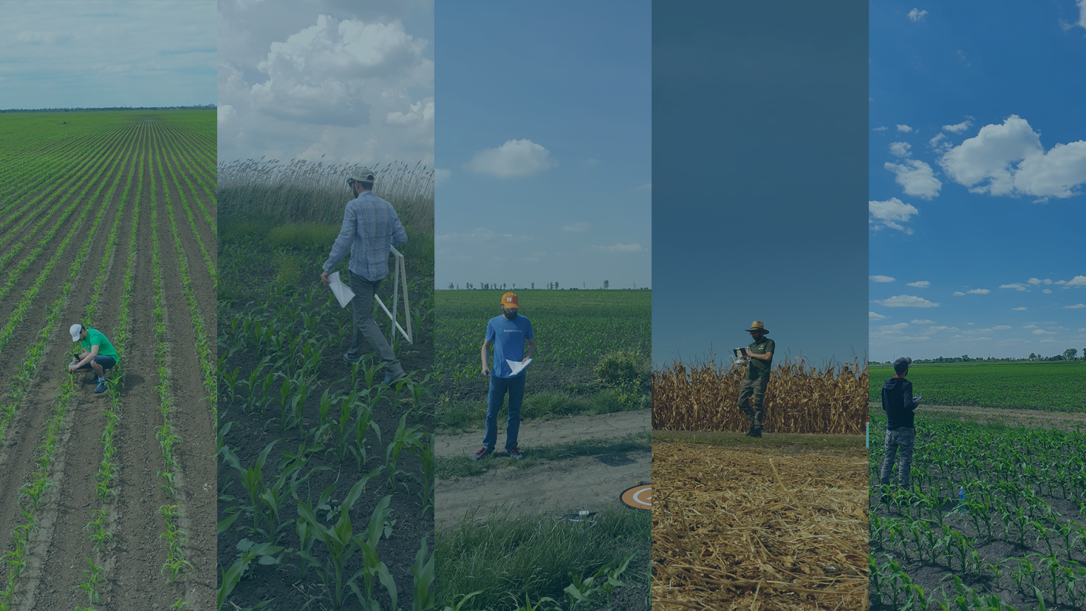DJI Mavic 3 Multispectral vs. senseFly eBee Ag: A Head-to-Head Comparison for Agronomists