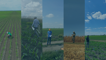 DJI Mavic 3 Multispectral vs. senseFly eBee Ag: A Head-to-Head Comparison for Agronomists